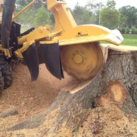 Photos of Our Business - Richardson Tree Service - Photo (89481)