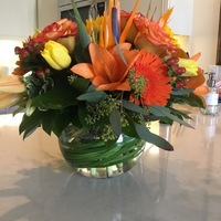 Enchanted Florist - Enchanted Florist - Photo (90846)