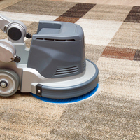 Photos of Our Business - Healthy Carpets - Photo (90910)