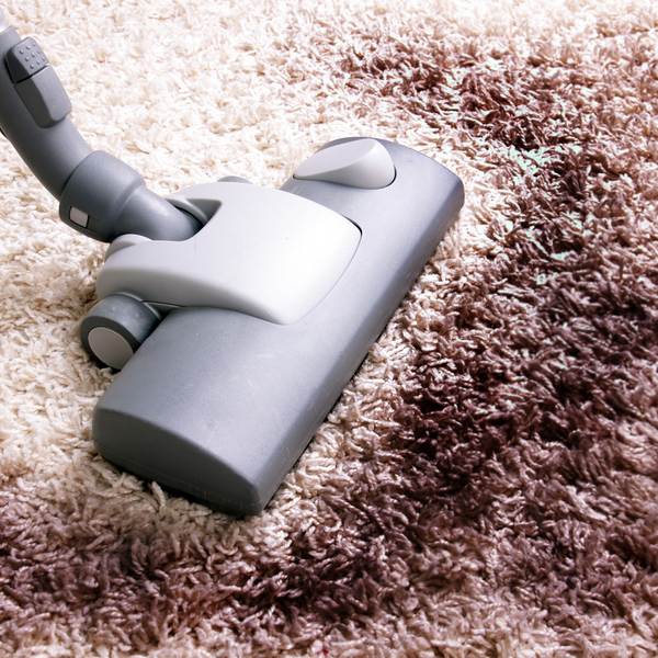 Photos of Our Business - Healthy Carpets - Photo (90911)