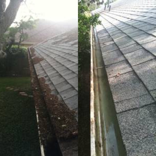 Latest Work - BrightView Services - Photo (92717)