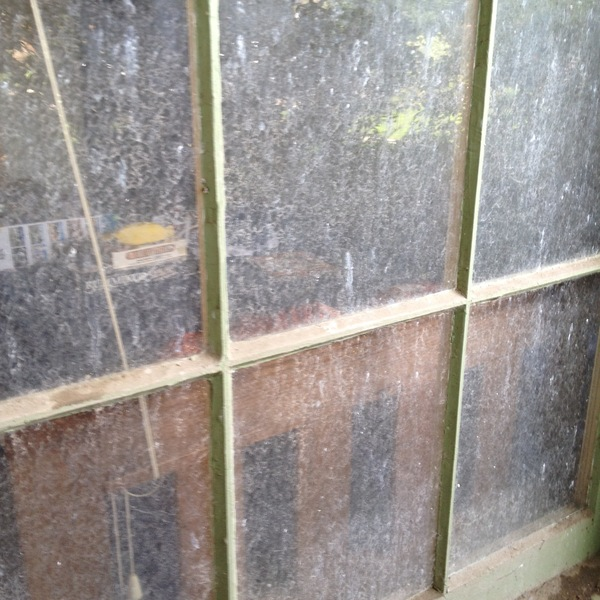 Latest Work - BrightView Services - Photo (92719)