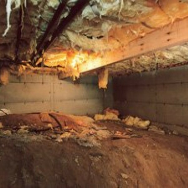 Photos of Our Business - South Daytona Crawl Space Repair - Photo (99258)