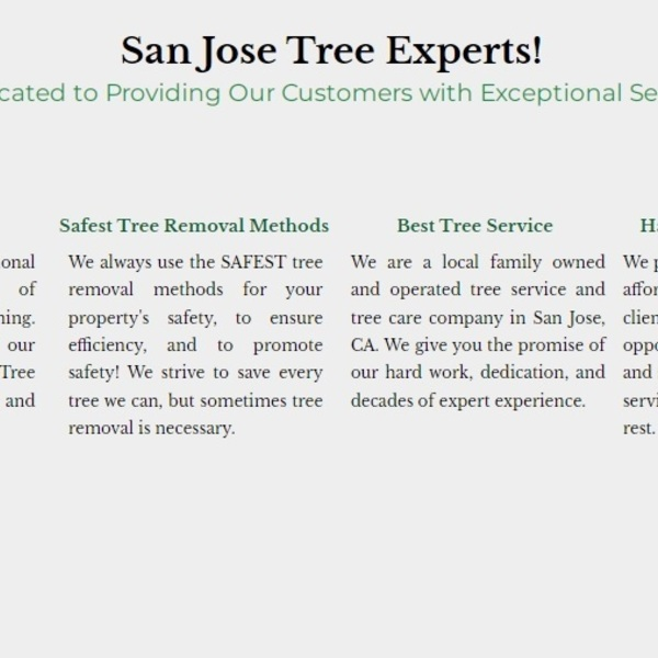 Photos of Our Business - San Jose Tree Service Pros - Photo (100509)