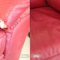 Photos of Our Business - Fibrenew Windermere - Photo (108190)