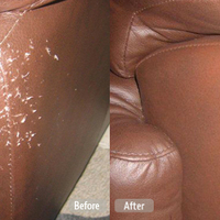 Photos of Our Business - Fibrenew Windermere - Photo (108195)