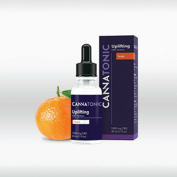 Portfolio - Mad Mind Studios - Photo (108299)