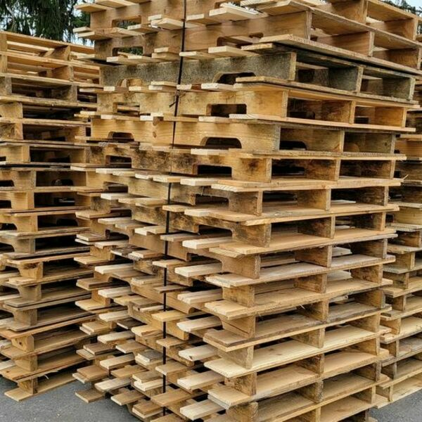 Photos of Our Business - Pallet and Supply Solutions - Photo (117261)