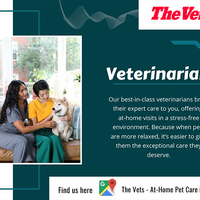 Veterinarian