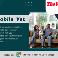 Mobile Vet Near Me