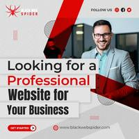 Looking for a professional website for your business