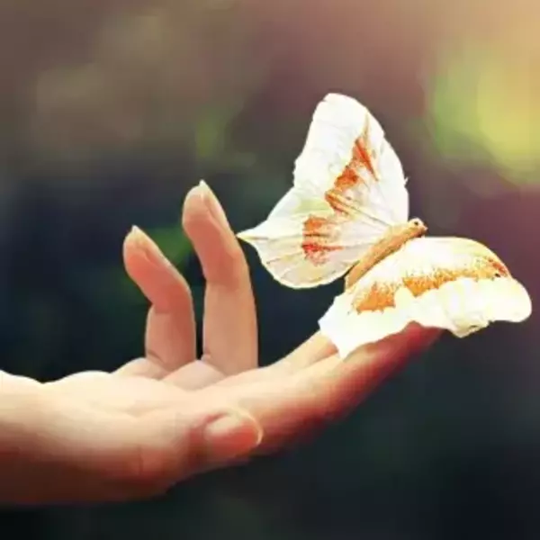 Portfolio - Metamorphosis MD - Photo (119630)