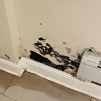 Photos of Our Business - Ucm Carpet Cleaning of Plainfield - Photo (121871)