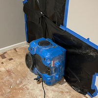 Photos of Our Business - Ucm Carpet Cleaning of Plainfield - Photo (121872)