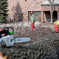 St. Peters Tree Trimming Co. - St. Peters Tree Trimming - Photo (124456)