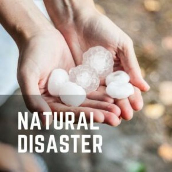 Photos of Our Business - Flood Doctor | Water Damage Restoration - Photo (125821)