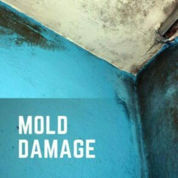 Photos of Our Business - Flood Doctor | Water Damage Restoration - Photo (125822)