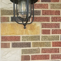 Lamp on Cleaned Brick