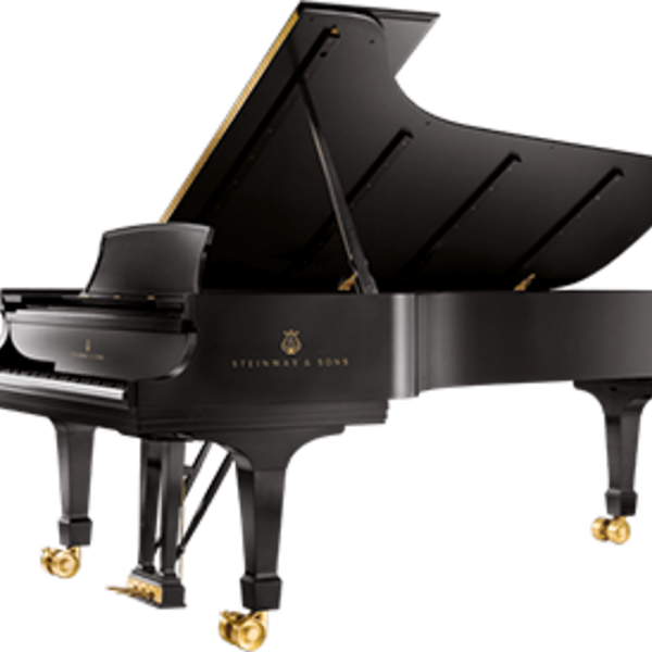 Photos of Our Business - Steinway Piano Gallery Tampa - Photo (135190)