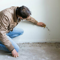 Photos of Our Business - Ace Mold Removal - Photo (138263)