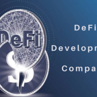 Defi Development company