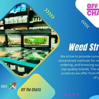 Photos of Our Business - Off The Charts - Dispensary in Palm Springs - Photo (142785)