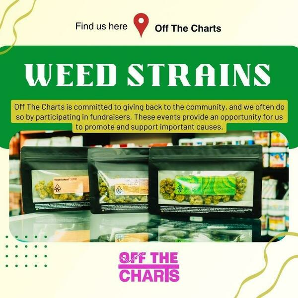 Photos of Our Business - Off The Charts - Dispensary in Palm Springs - Photo (143694)