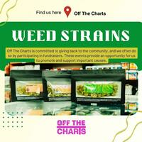 Photos of Our Business - Off The Charts - Dispensary in Palm Springs - Photo (143694)