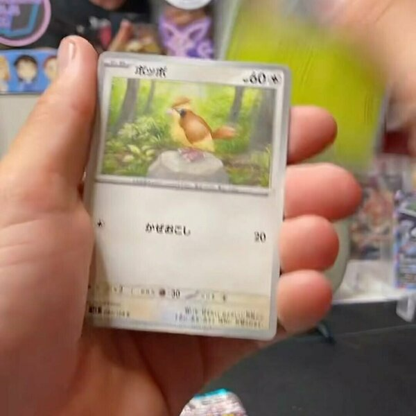 Photos of Our Business - ChasingBulkTCG - Photo (144325)