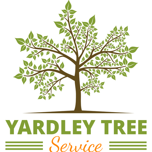 Photos of Our Business - Yardley Tree Service - Photo (146319)