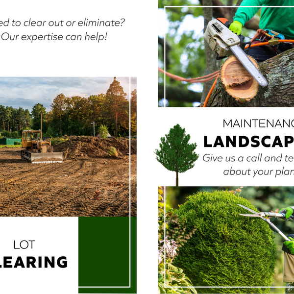 Photos of Our Business - Yardley Tree Service - Photo (146321)