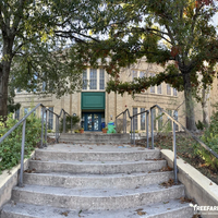 School yard tree trimming