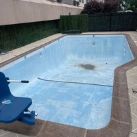 Photos of Our Business - PDX Pools - Photo (149529)