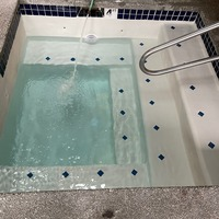 Photos of Our Business - PDX Pools - Photo (149531)