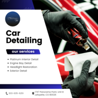 Car Detailing - Blueskytint
