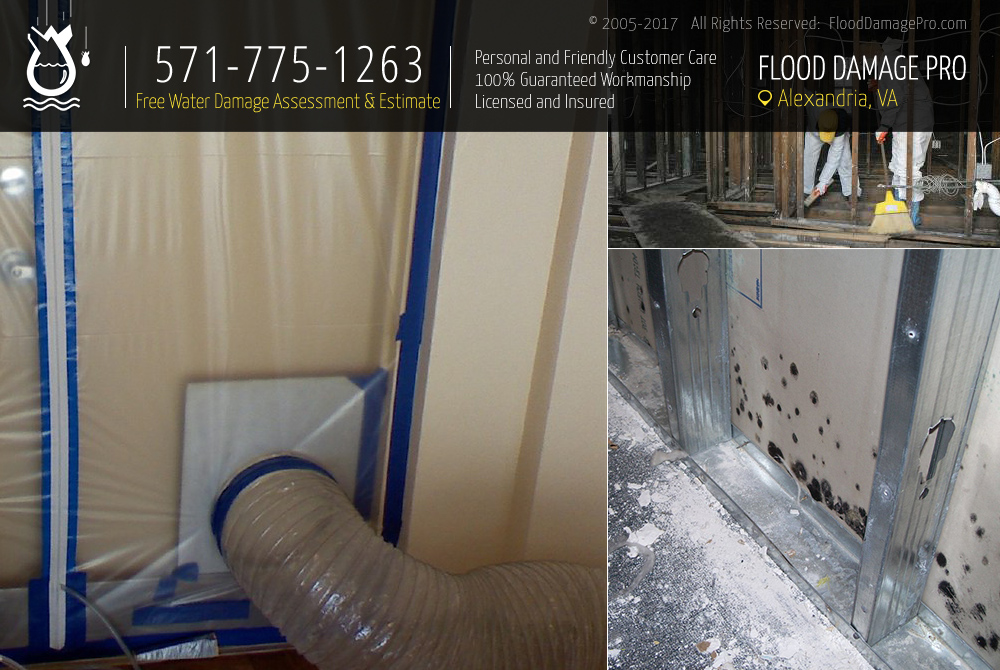 Photos of Our Business - Flood Damage Pro of Alexandria - Photo (161730)