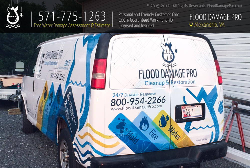 Photos of Our Business - Flood Damage Pro of Alexandria - Photo (161734)