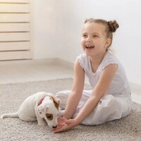 Photos of Our Business - Miracle Workers Cleaning - Photo (166069)