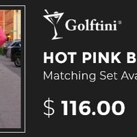 Photos of Our Business - Golftini - Photo (167873)
