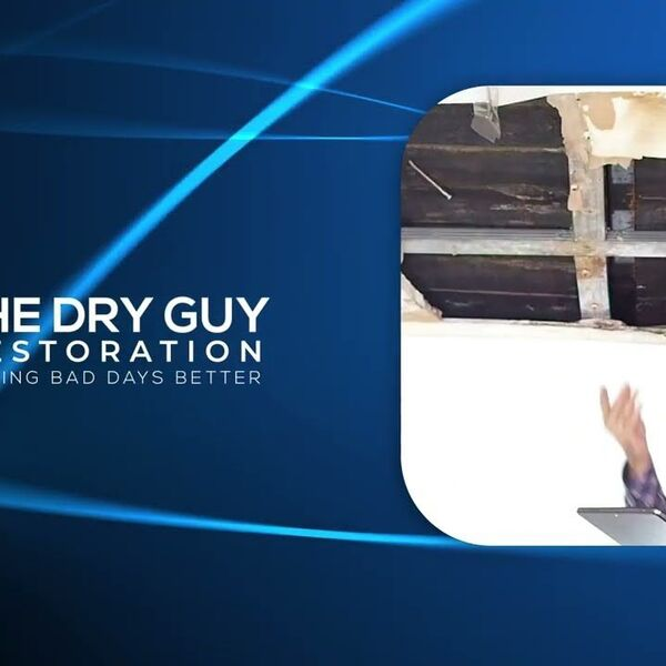 Photos of Our Business - The Dry Guy Restoration - Photo (173717)