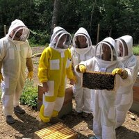 Eco Bee Removal is a dedicated team of professionals committed to providing safe and environmentally friendly solutions for bee infestations. With a d