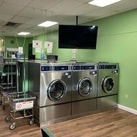 Portfolio - Shamrock Laundry - Photo (174432)
