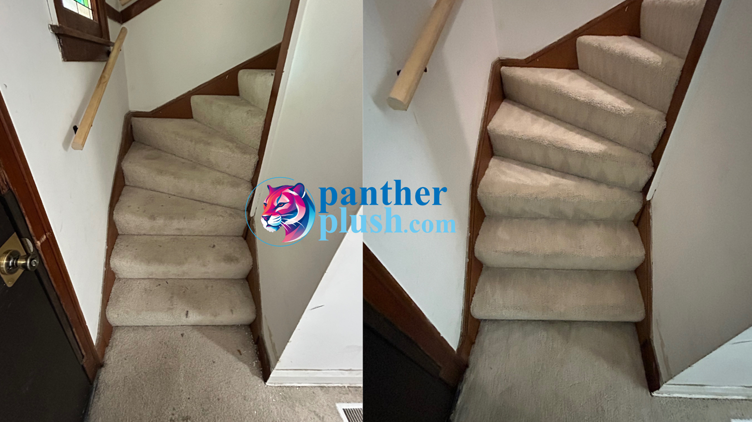 Photos of Our Business - Panther Plush - Photo (174874)