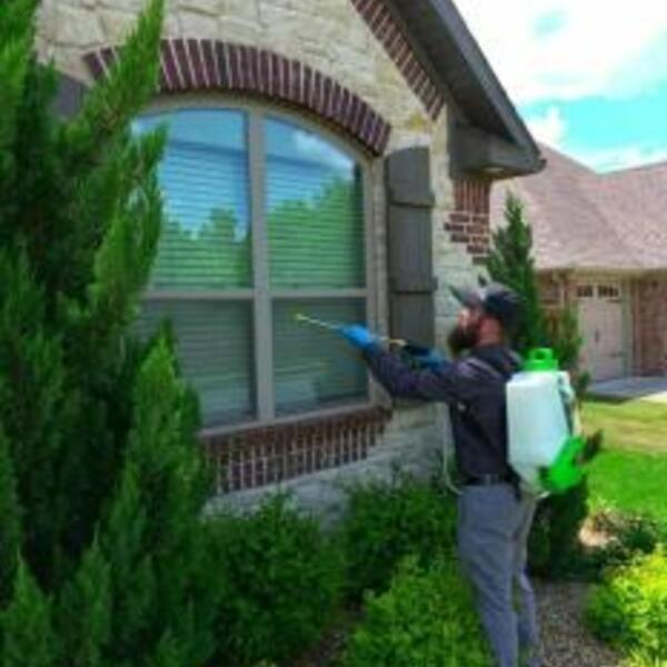 Photos of Our Business - Flex Pest Control - Photo (176025)