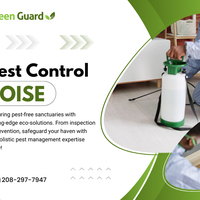 Pest Control Boise