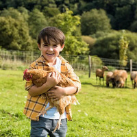 Goats of Glacier - Goats of Glacier - Photo (184405)