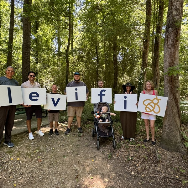 Portfolio - Levifi - Photo (186677)