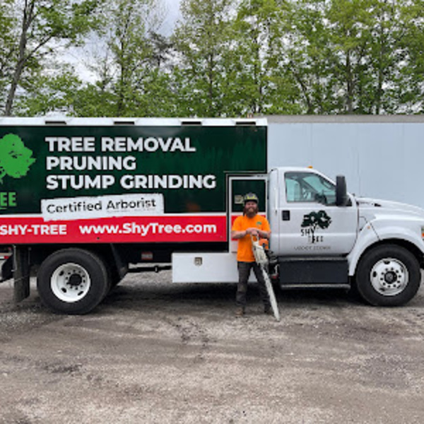 Photos of Our Business - Shy Tree - Photo (187485)