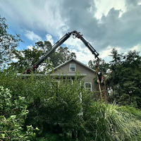 Photos of Our Business - Shy Tree - Photo (187488)