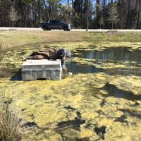 Retention Pond Services